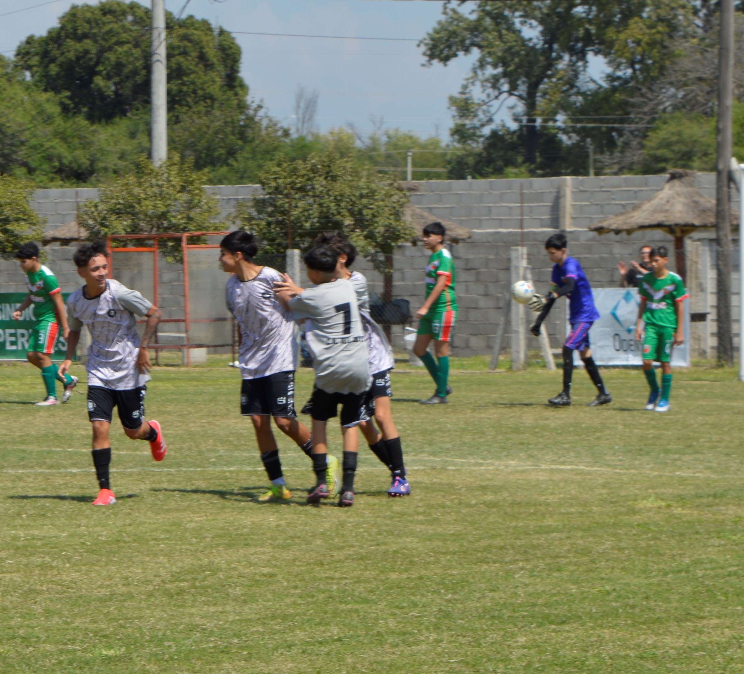 Imagen 1